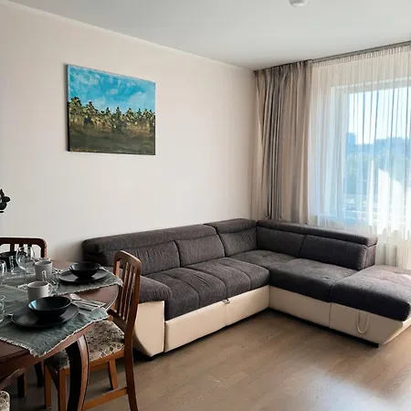 Midtown Apartment *